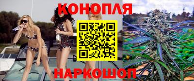 PSILOCYBIN Кингисепп