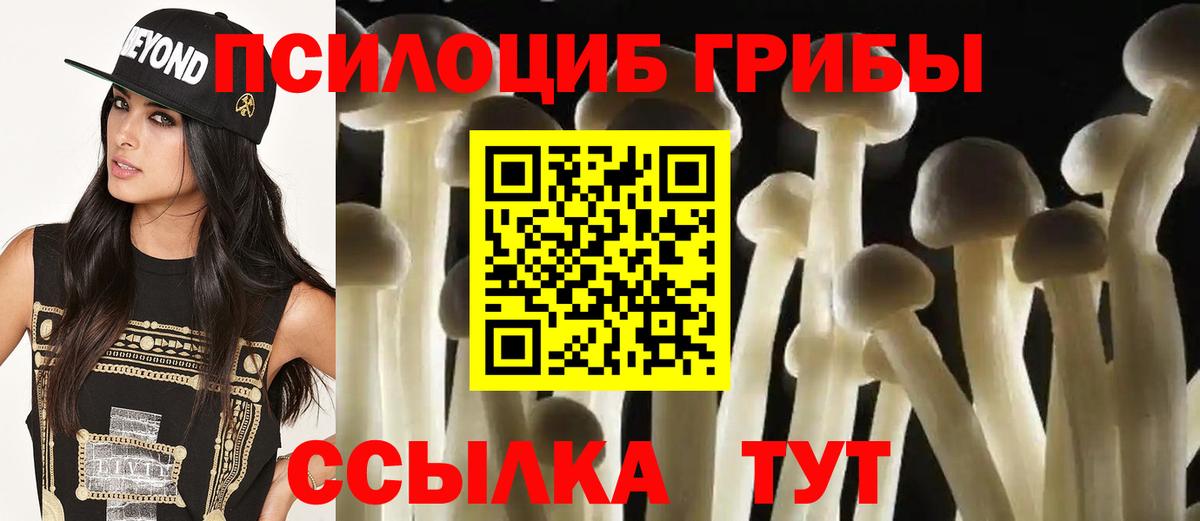 Галлюциногенные грибы GOLDEN TEACHER  Вход с VPN  Галлюциногенные грибы Magic Shrooms  как найти наркотики  Заречный 