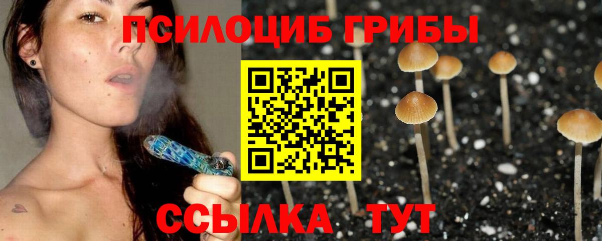 Псилоцибиновые грибы мухоморы Заречный